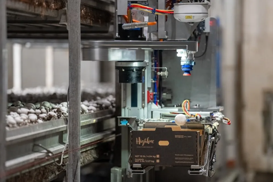 4AG robot traversing stacked mushroom beds in a grow room