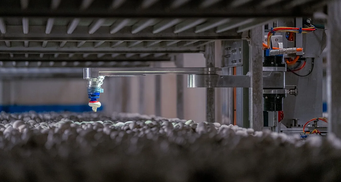 4AG mushroom harvesting rig in production with articulated arms