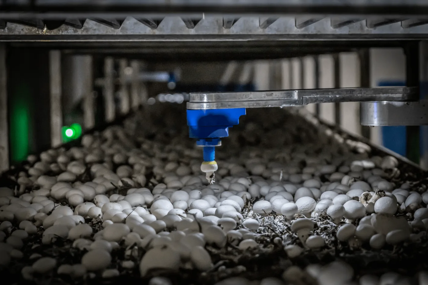 4AG autonomous harvester operating inside mushroom shelving